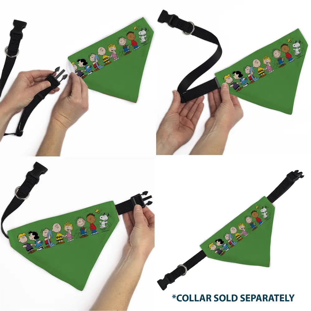Peanuts Gang - Green Pet Bandanas