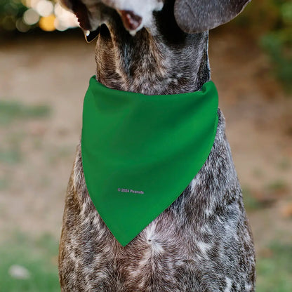 Peanuts Gang - Green Pet Bandanas