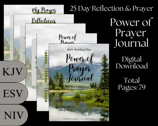 Power of Prayer - 25 Day Reflect & Prayer KJV Digital Download