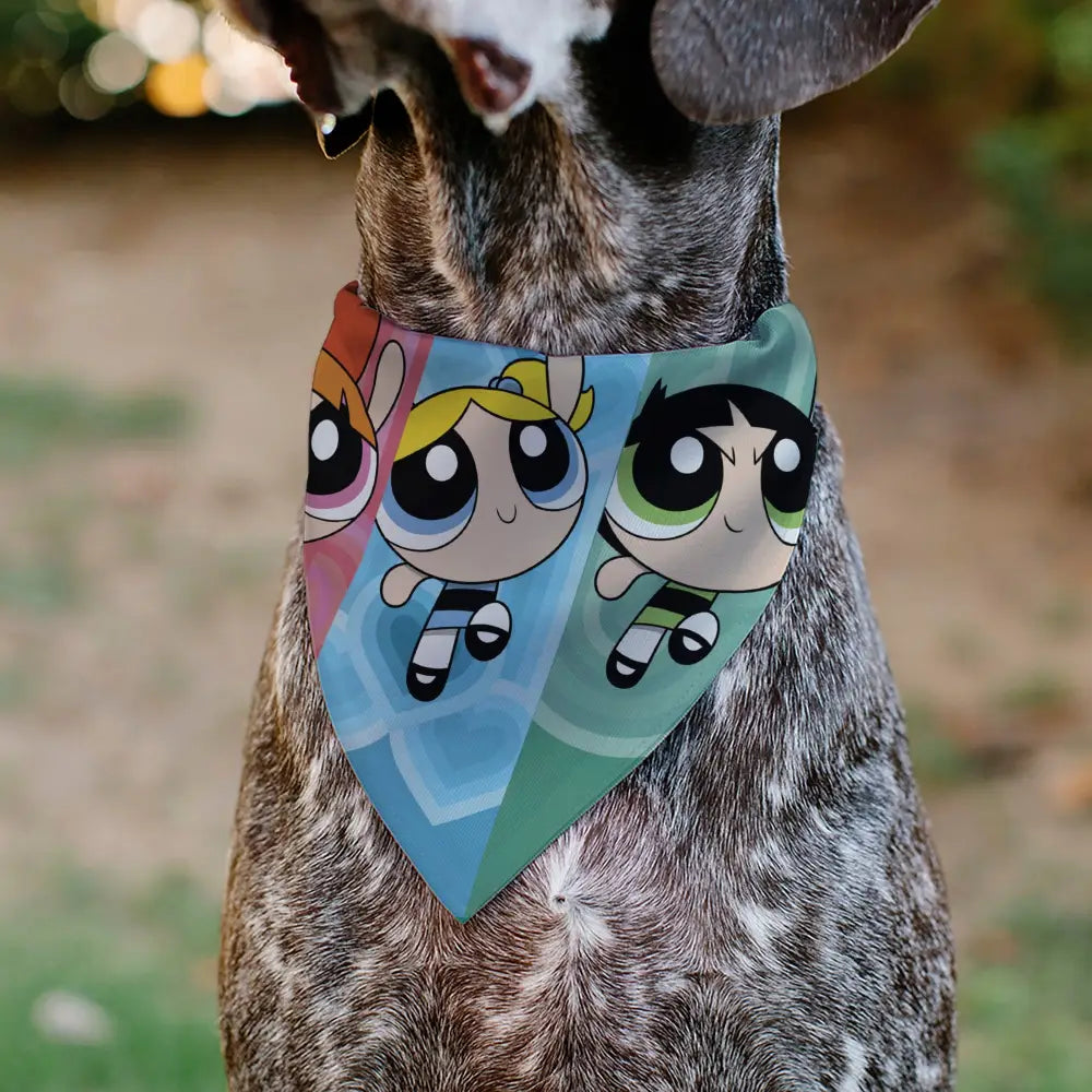 Pet Bandana - The Powerpuff Girls Flight Pose Pinks/Blues/Greens Pet Bandanas