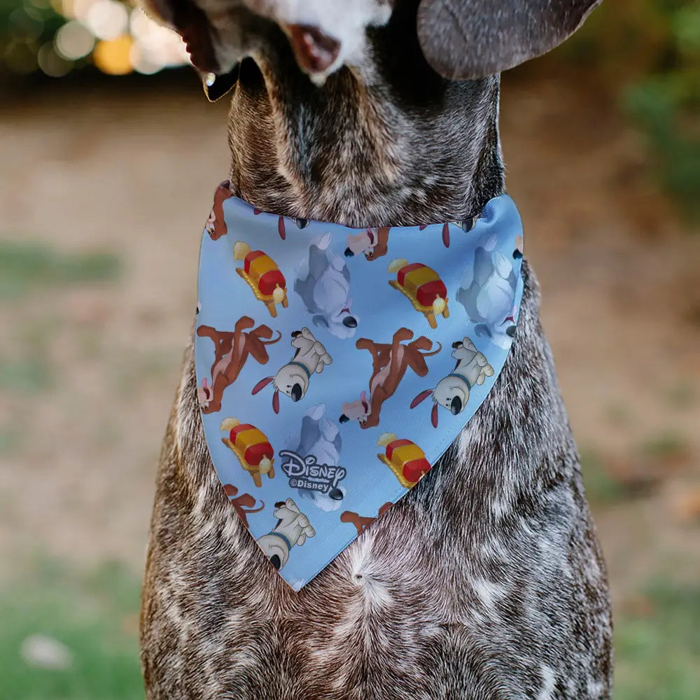 Princess Babies - Multi Pet Bandanas