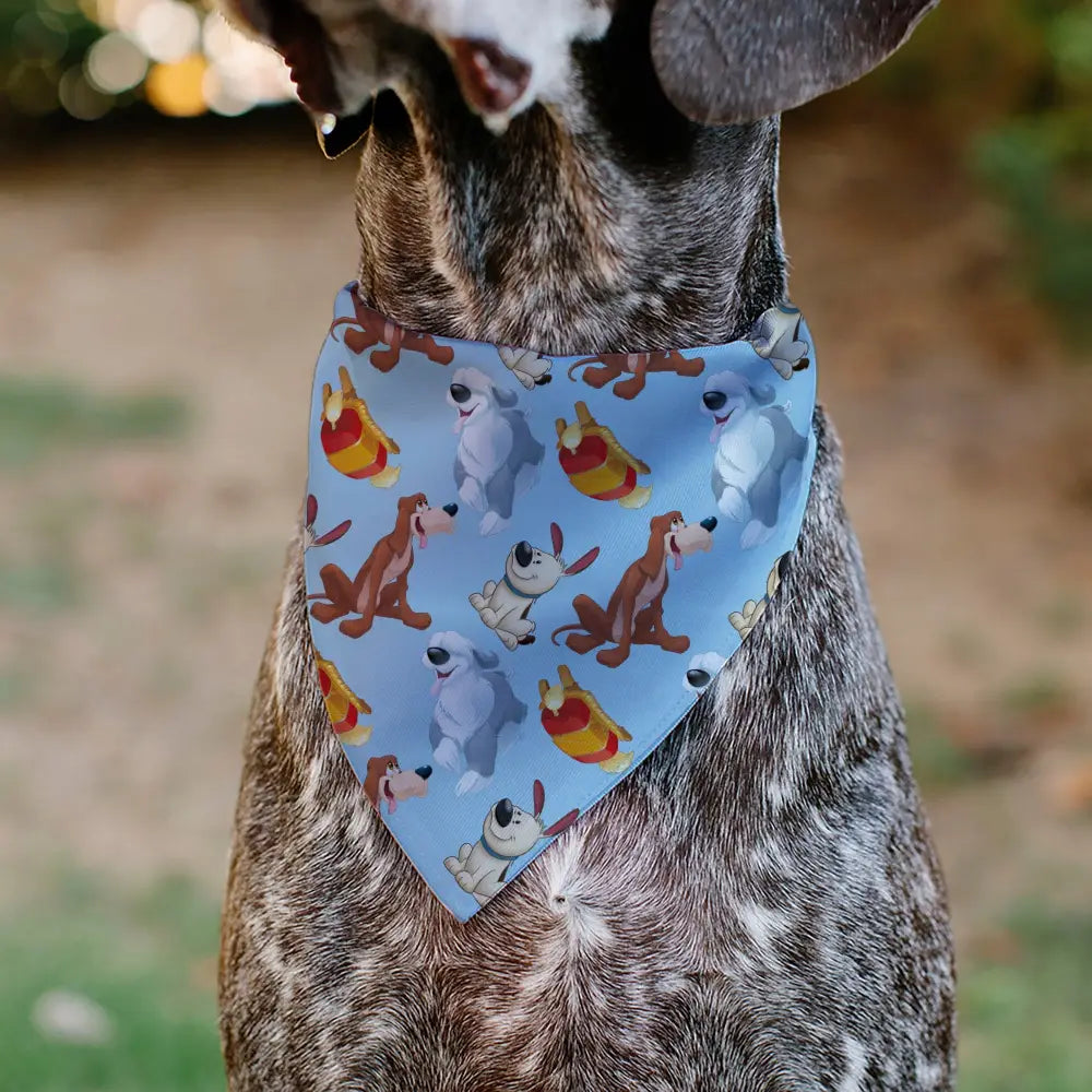 Princess Babies - Multi Pet Bandanas