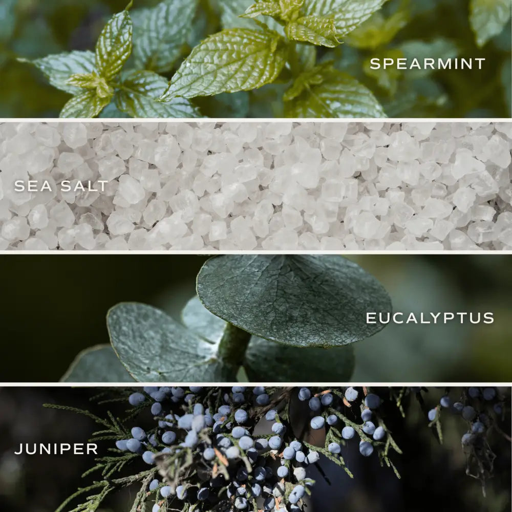 Restore and Renew White Eucalyptus 4.6 oz Bath Bomb Bath Bomb