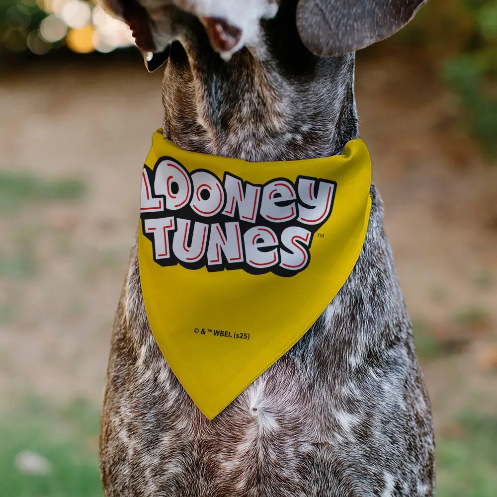 Pet Bandana - LOONEY TUNES Speedy Gonzales Face Close-Up Yellow - Pet Bandanas