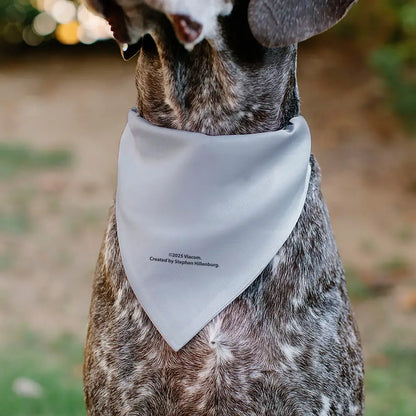 Pet Bandana - SpongeBob SquarePants Tie Outfit Character Close-Up - Pet Bandanas