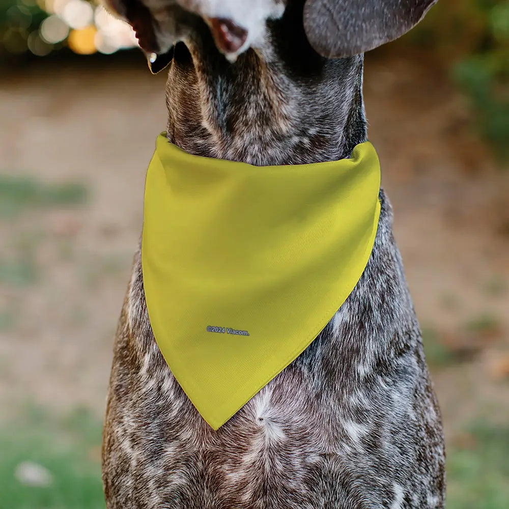 Pet Bandana - SpongeBob SquarePants Face Close-Up Yellow Pet Bandanas