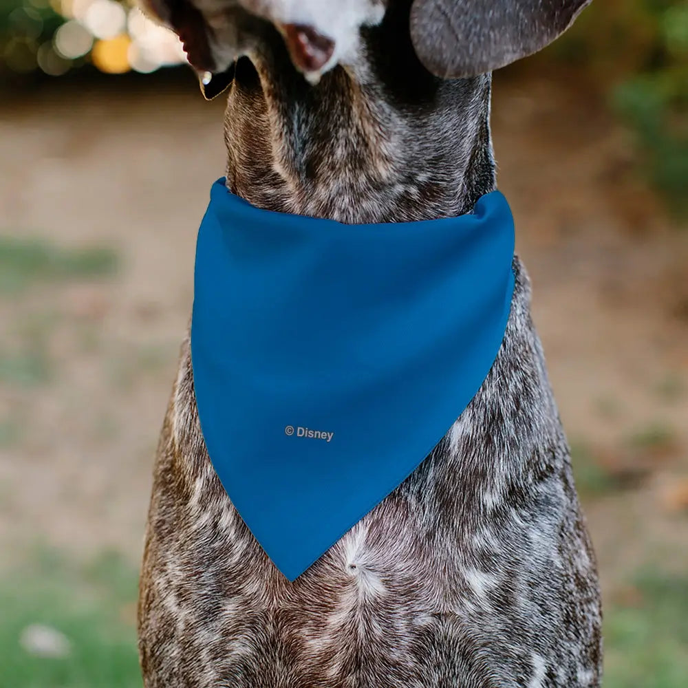 Pet Bandana - Stitch Smiling Face Character Close-Up Blues - Pet Bandanas