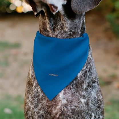 Pet Bandana - Stitch Smiling Face Character Close-Up Blues - Pet Bandanas
