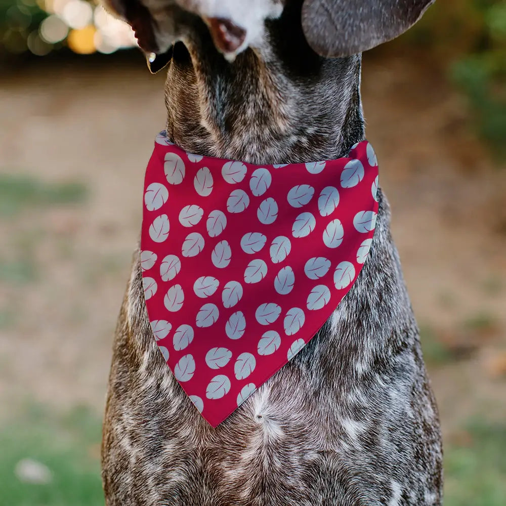 Pet Bandana - Lilo Dress Leaves & Stitch Sitting Pose Red/White Pet Bandanas