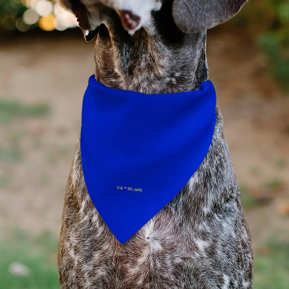 Pet Bandana - Superman Shield Logo Blue/Red/Yellow Pet Bandanas