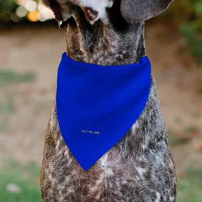 Pet Bandana - Superman Shield Logo Blue/Red/Yellow Pet Bandanas