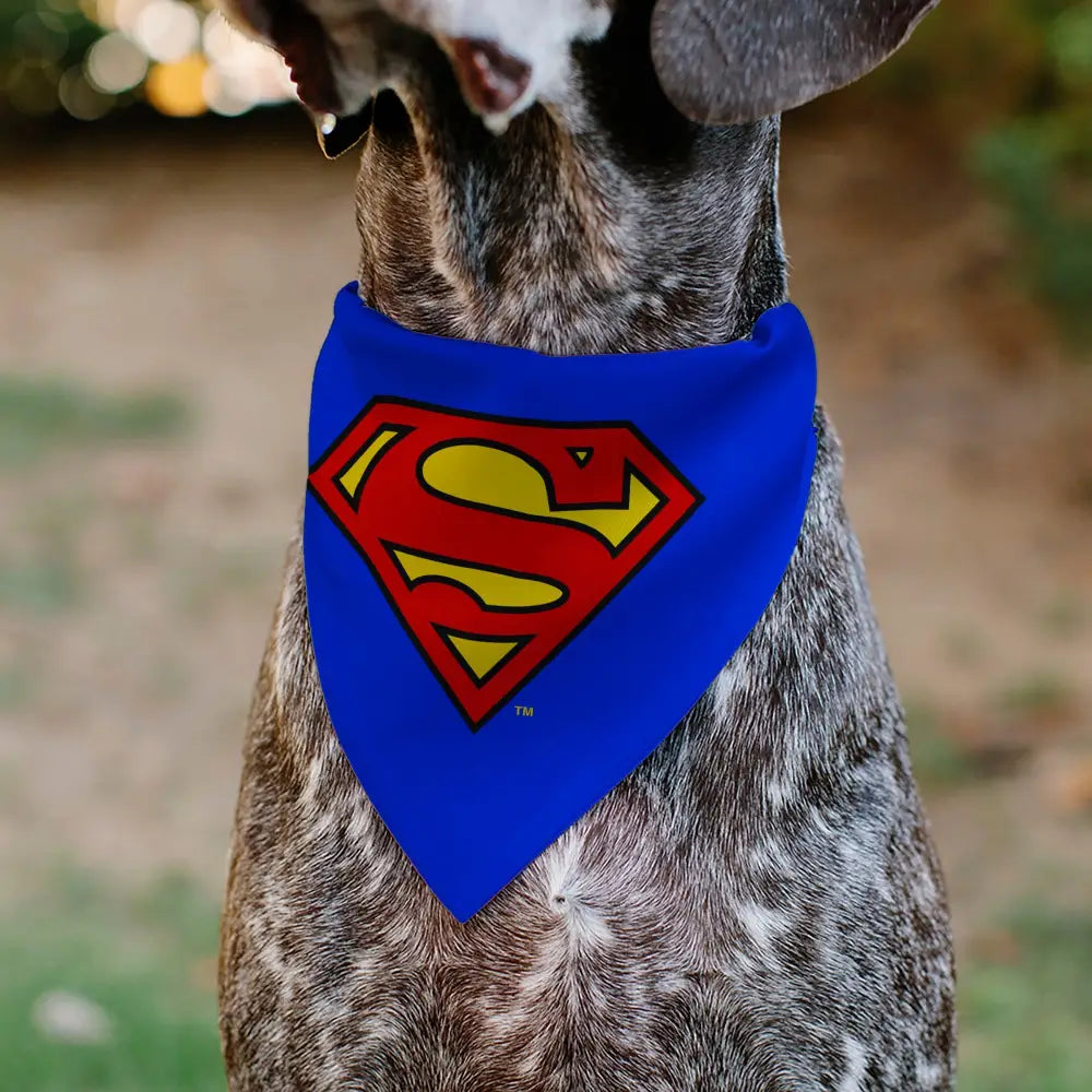 Pet Bandana - Superman Shield Logo Blue/Red/Yellow Pet Bandanas