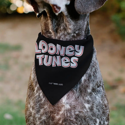 Pet Bandana - LOONEY TUNES Sylvester the Cat Face Close-Up Black - Pet Bandanas