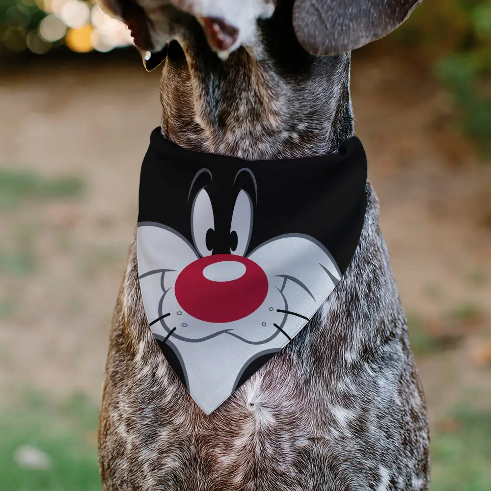 Pet Bandana - LOONEY TUNES Sylvester the Cat Face Close-Up Black - Pet Bandanas