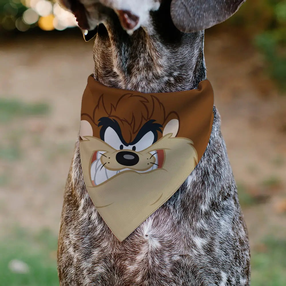 Pet Bandana - LOONEY TUNES Taz Tasmanian Devil Face Close-Up Brown - Pet Bandanas