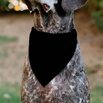 Pet Bandana - Tuxedo Shirt Print Black/White - Pet Bandanas