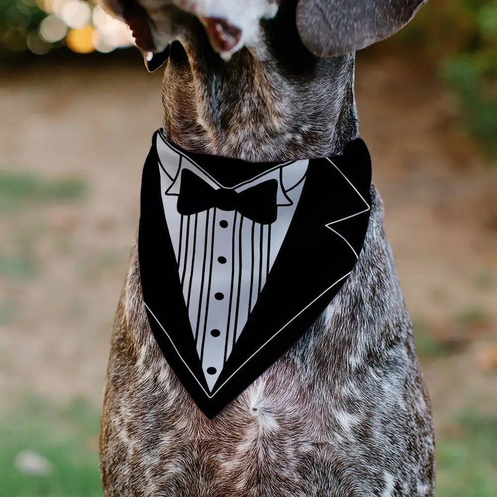 Pet Bandana - Tuxedo Shirt Print Black/White - Pet Bandanas