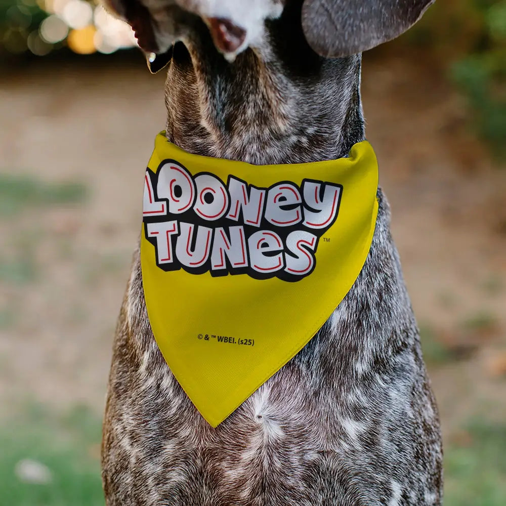 Pet Bandana - LOONEY TUNES Tweety Bird Face Close-Up Yellow - Pet Bandanas