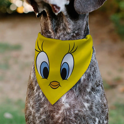 Pet Bandana - LOONEY TUNES Tweety Bird Face Close-Up Yellow - Pet Bandanas