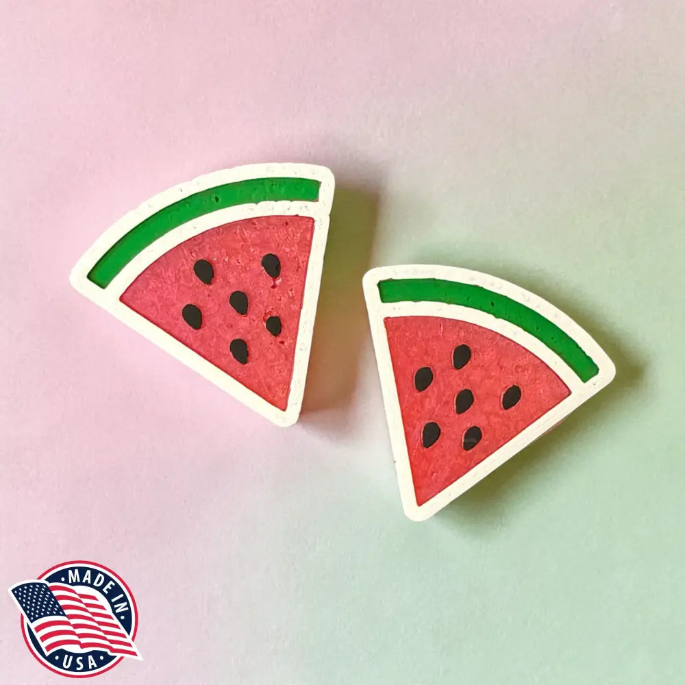 Watermelon Vent Clips and Magnets