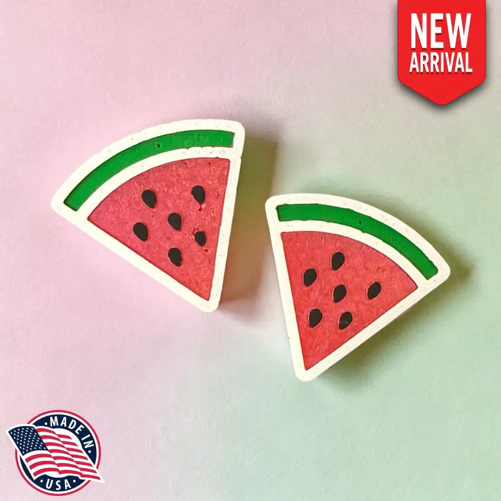 Watermelon Vent Clips and Magnets