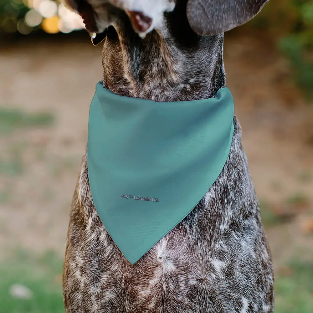 Pet Bandana - Star Wars The Madalorian and Grogu WHERE HE GOES I GO Pose Blue/Black - Pet Bandanas