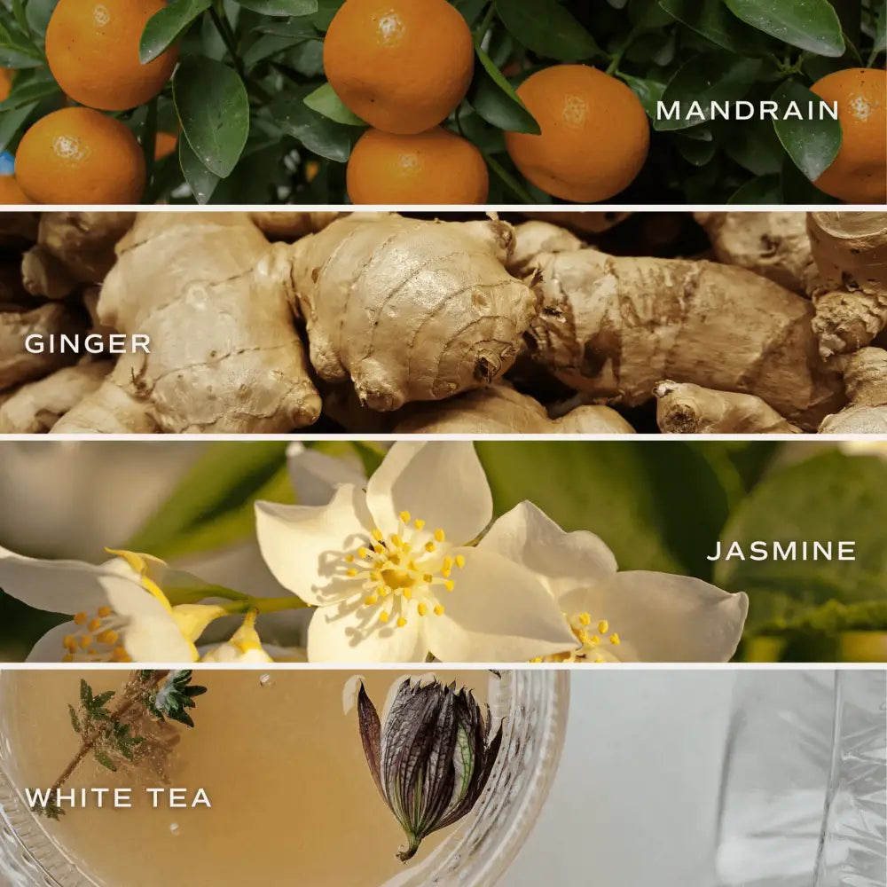 White Tea and Jasmine 4.6 oz Bath Bomb Bath Bomb