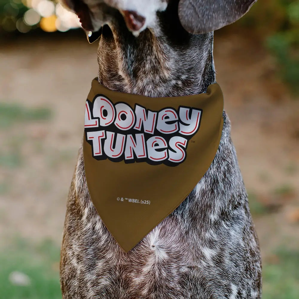 Pet Bandana - LOONEY TUNES Wile E. Coyote Face Close-Up Brown - Pet Bandanas