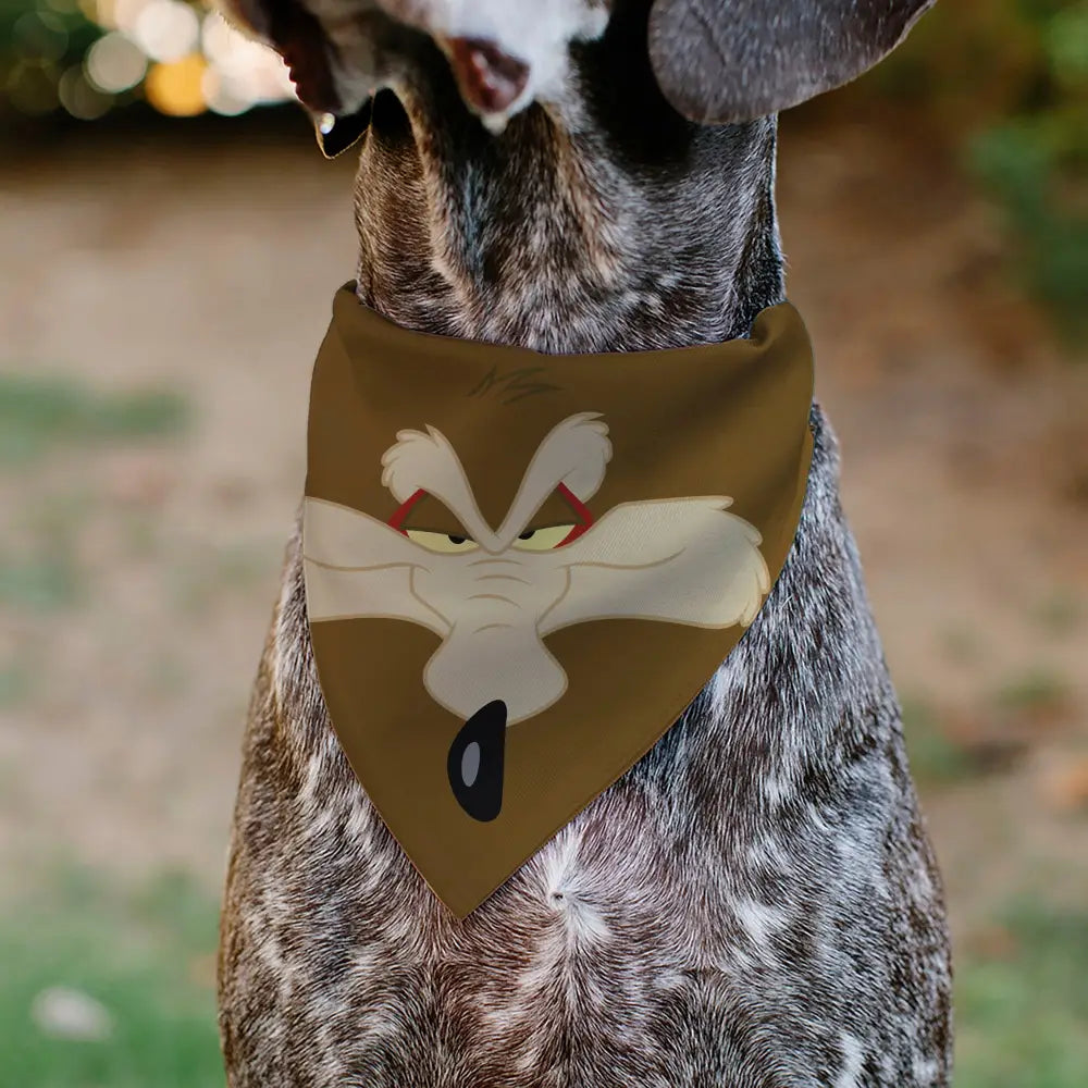 Pet Bandana - LOONEY TUNES Wile E. Coyote Face Close-Up Brown - Pet Bandanas